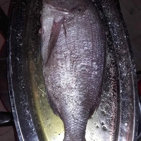 In - Zadar Riviera 7840 דירה