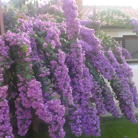 In - Zadar Riviera 7840