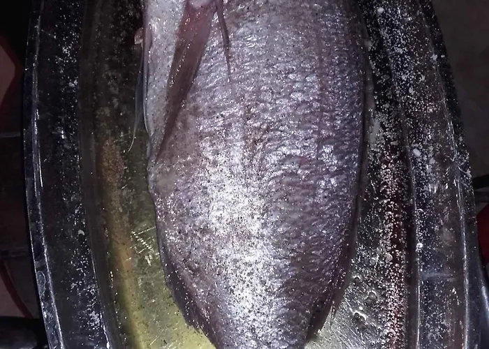 In - Zadar Riviera 7840 Lägenhet