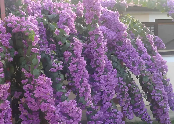 In - Zadar Riviera 7840